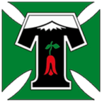 Deportes Temuco: Una pasión que une a la comunidad deportes-temuco-una-pasi-n-que-une-a-la